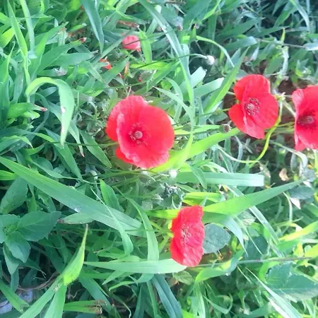 Lejlighed Lucia Conca dei Marini