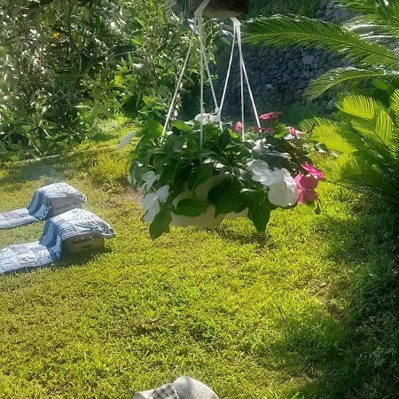 Apartman Lucia *
