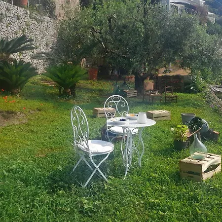 Apartment Lucia